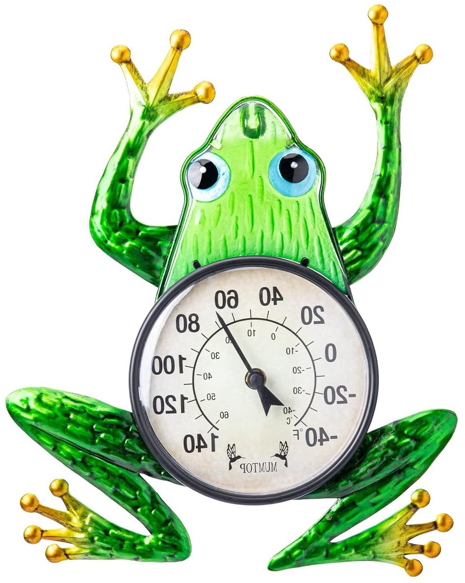 Kikker Thermometer - Binnen Buiten Thermometer - Temperatuur Meten - Geen Batterijen Nodig - 63 Inch Diameter - Groen