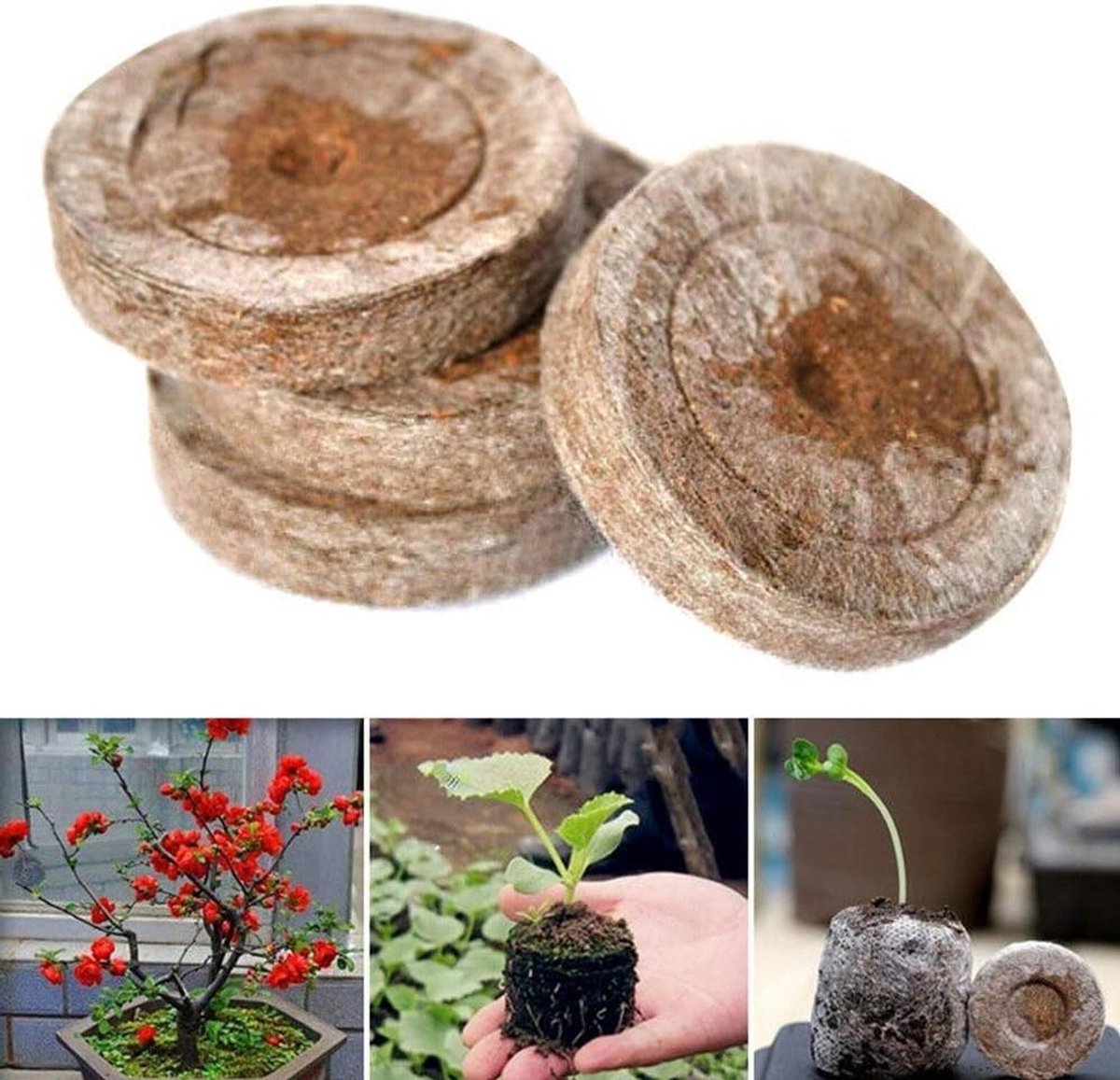 Veengrond Pellets - Zaailingbak Blokken - Planten Vermeerderen - Compressie Turfblok - 30 Mm - Bruin