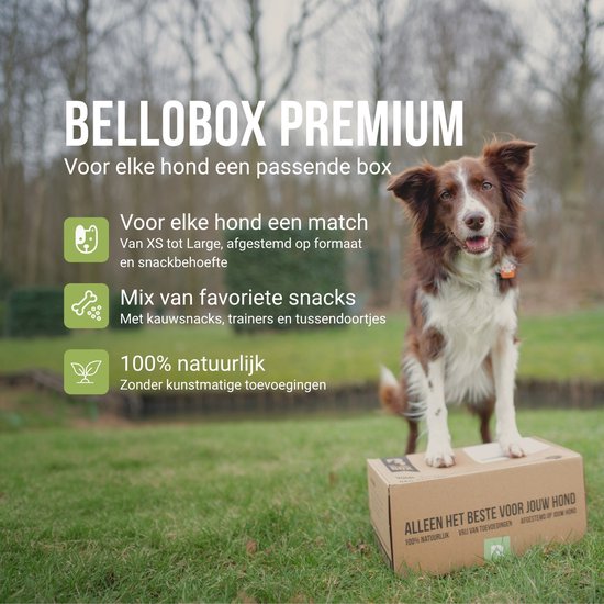Bruine border collie op een doos, met tekst over Bellobox Premium voor elke hond.