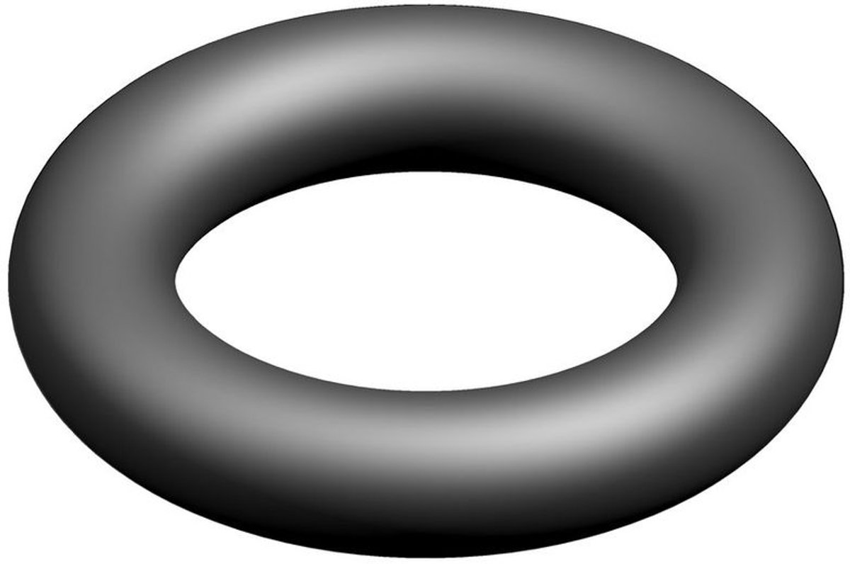 BOSCH O-ring (10x), 87002050070