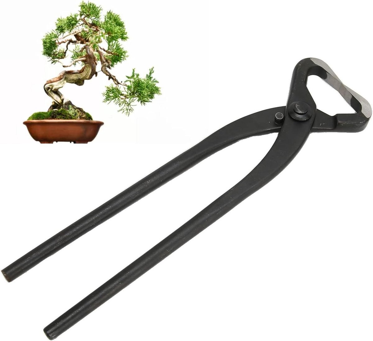 Concaaf Snoeischaar - Bonsai Gereedschap - Planten Vormgeven - Minimale Littekens - 27 cm Lengte - Zwart