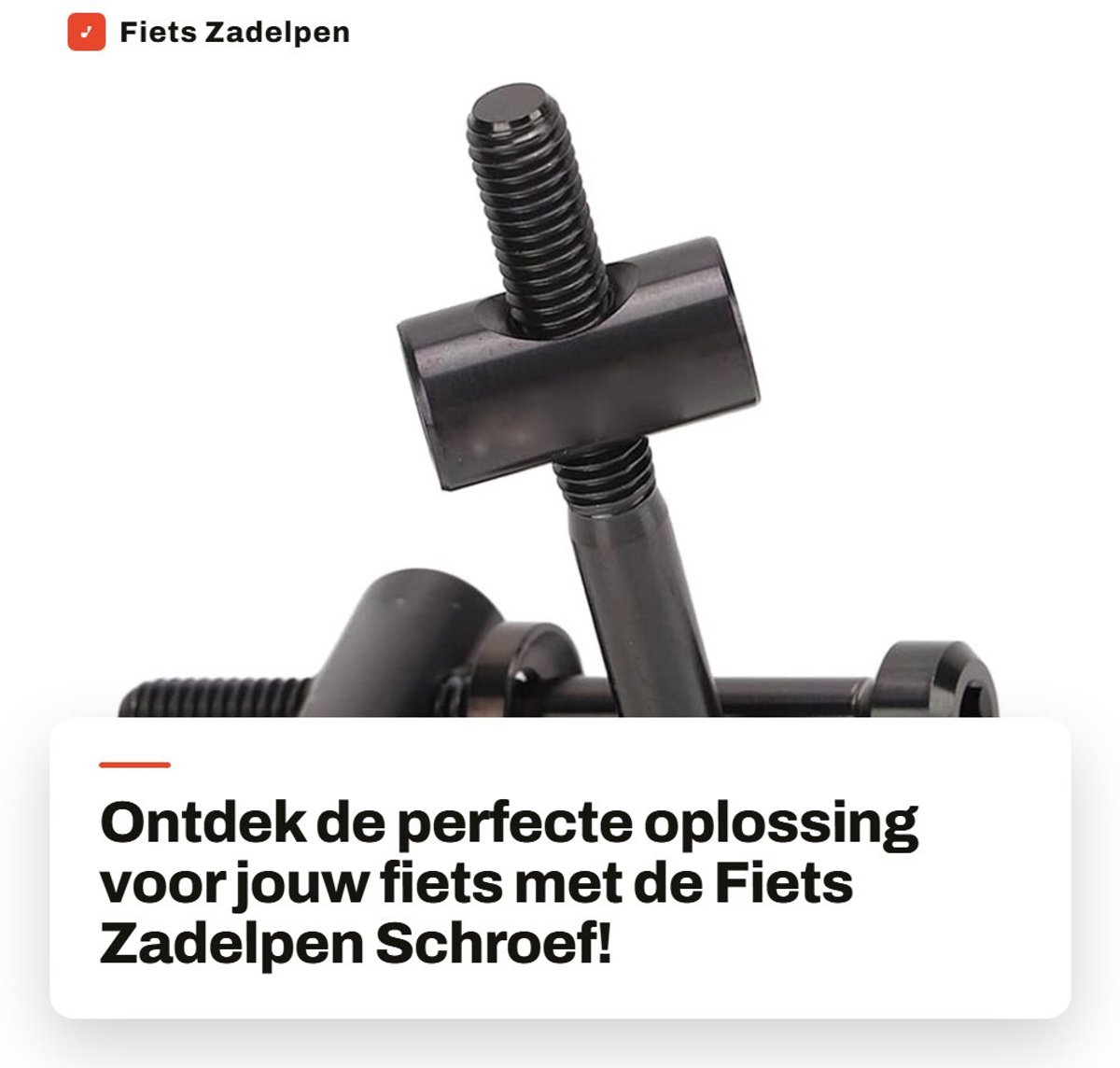 Dailygoods- Zadelpen Schroef 2 Stukken - M5 X 40 mm - Titaniumlegering - Fietsonderdelen - Vervanging - Duurzaam en lichtgewicht - Fietsschroef