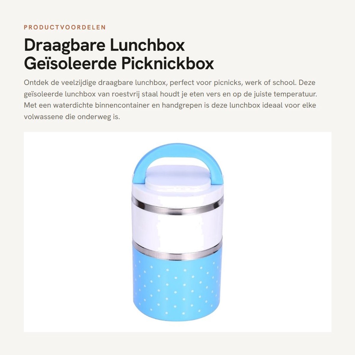 Dailygoods- Picknickbox 900 ml - Draagbare Geïsoleerde Lunchbox - Roestvrij Staal - Waterdichte Binnencontainer - Vaatwasmachinebestendig - Handgrepen