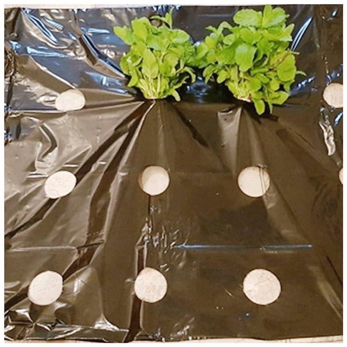 Tuinfolie - Beschermfolie - Planten Beschermen - Water Vasthouden - 95 cm breed - Zwart