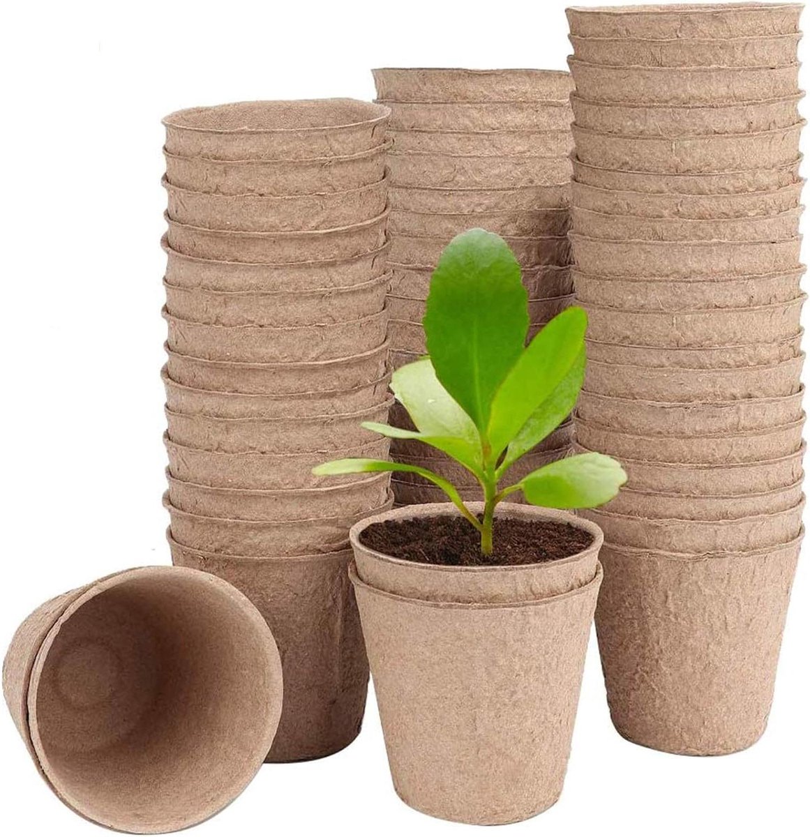 Turf Potjes - Zaaitjes Potjes - Planten Zaaien - Biologisch Afbreekbaar - 60 stuks - Bruin