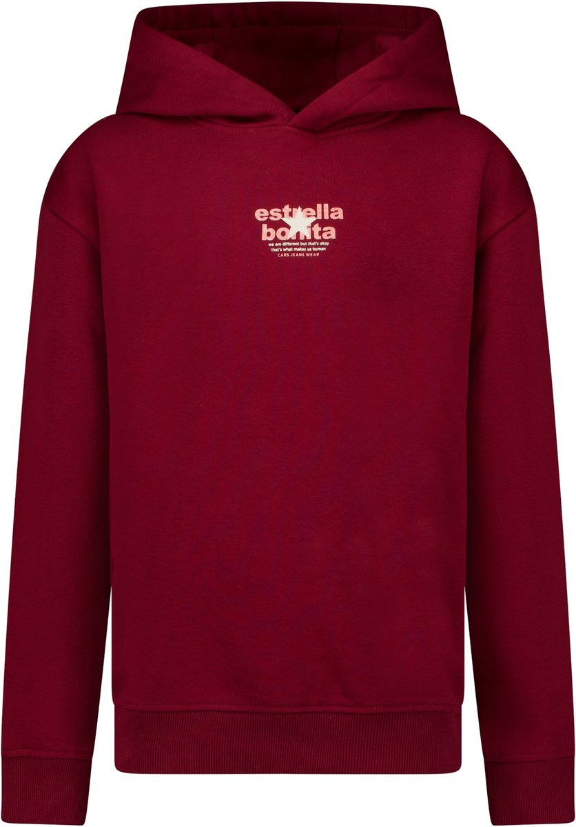 Cars Jeans Hoodie Skylah jr. -