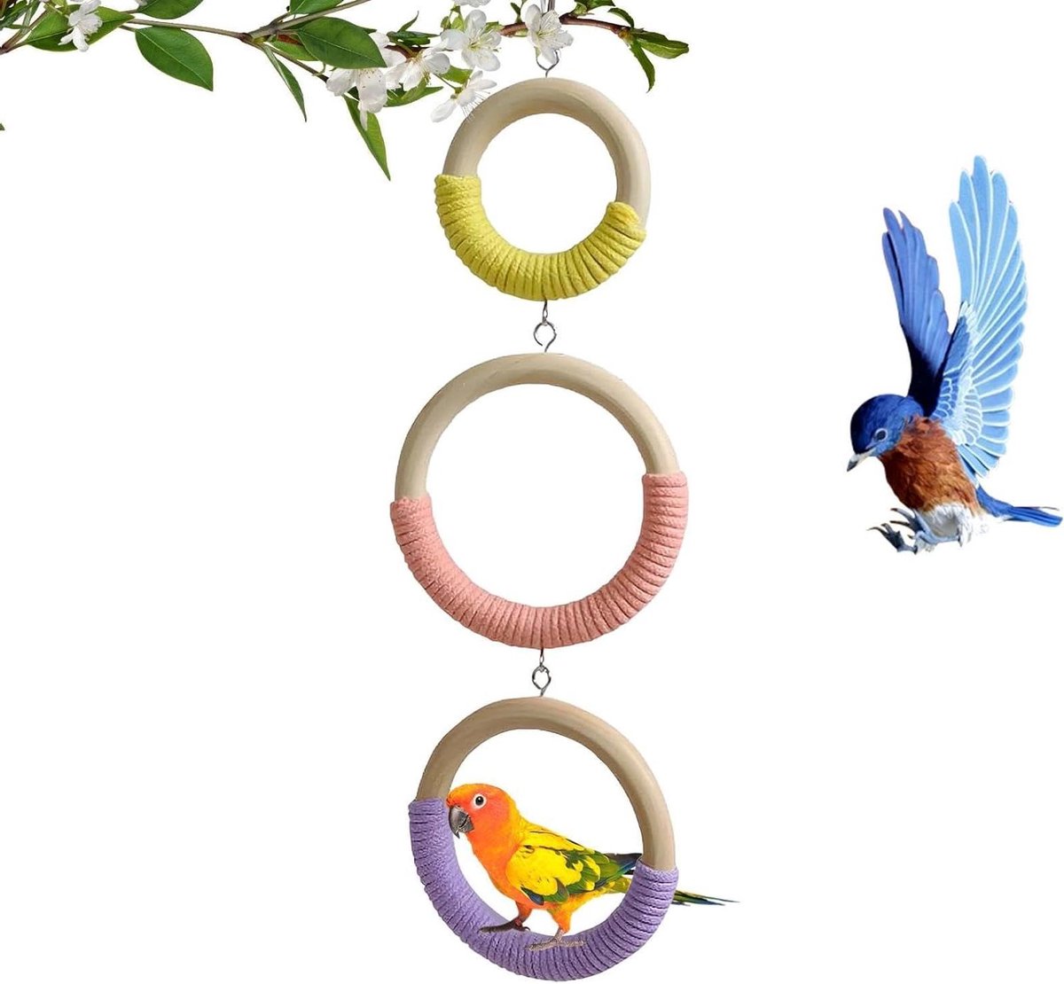 Papegaaienschommel Houten Speeltje - Vogel Schommel - Speelverrijking Vogelkooi - 3D Schommelgebied - 43 cm - Multicolor