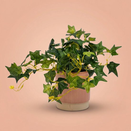 Groene klimop plant in een roze en witte gestreepte pot met overhangende stelen en puntige bladeren.