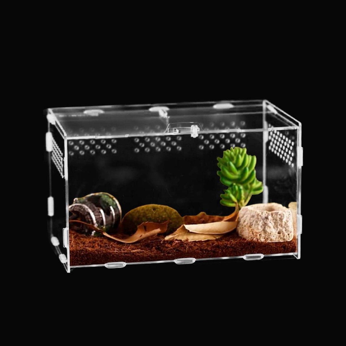 Insecten Voederdoos - Reptielen Terrarium - Kruipend Huisdier Verzorgen - 360 Graden Panoramisch Uitzicht