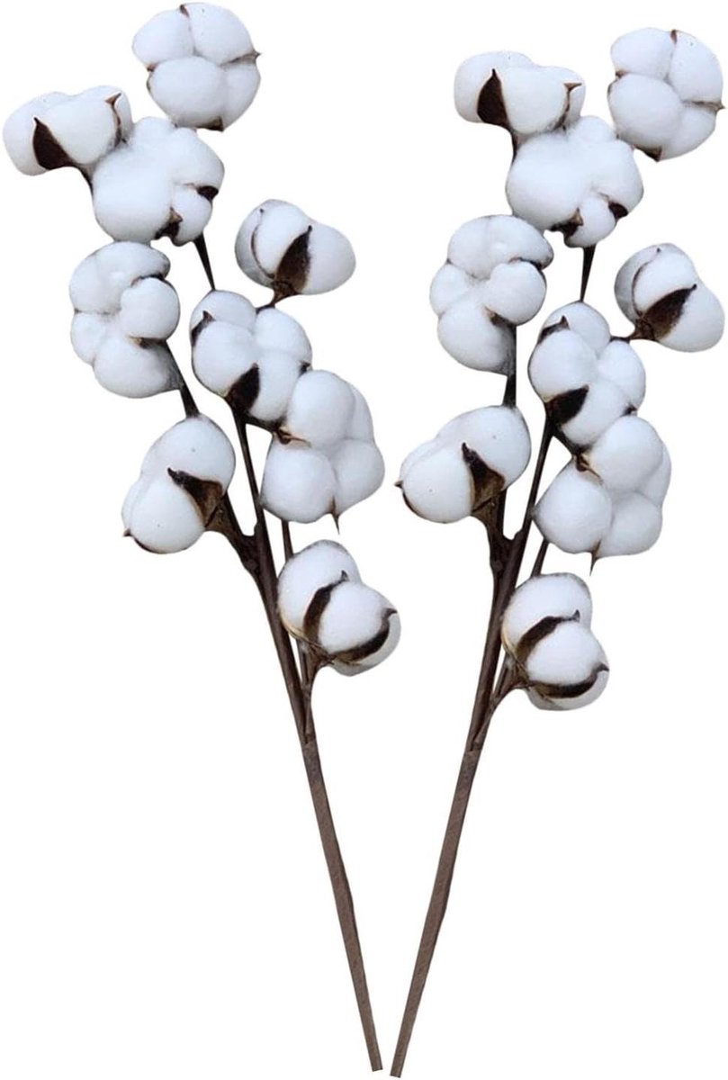 Gedroogde Katoenbloemen - Nep Boeket Kunstbloemen - Huis Decoratie - Handgemaakte Kwaliteit - 50 cm - Wit