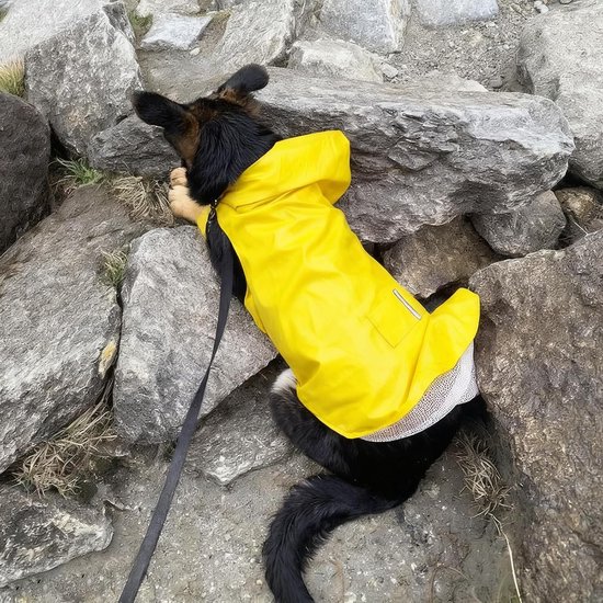 Lichte en Ademende Hondenregenjas met Capuchon, Reflecterende Details en Verstelbare Band voor Kleine en Middelgrote Honden (Geel) — afbeelding 3