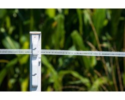 Willow Fence Poles - Livestock Fencing Pasture Posts - Dieren Omheinen - 14 Oogjes voor Band en Koord