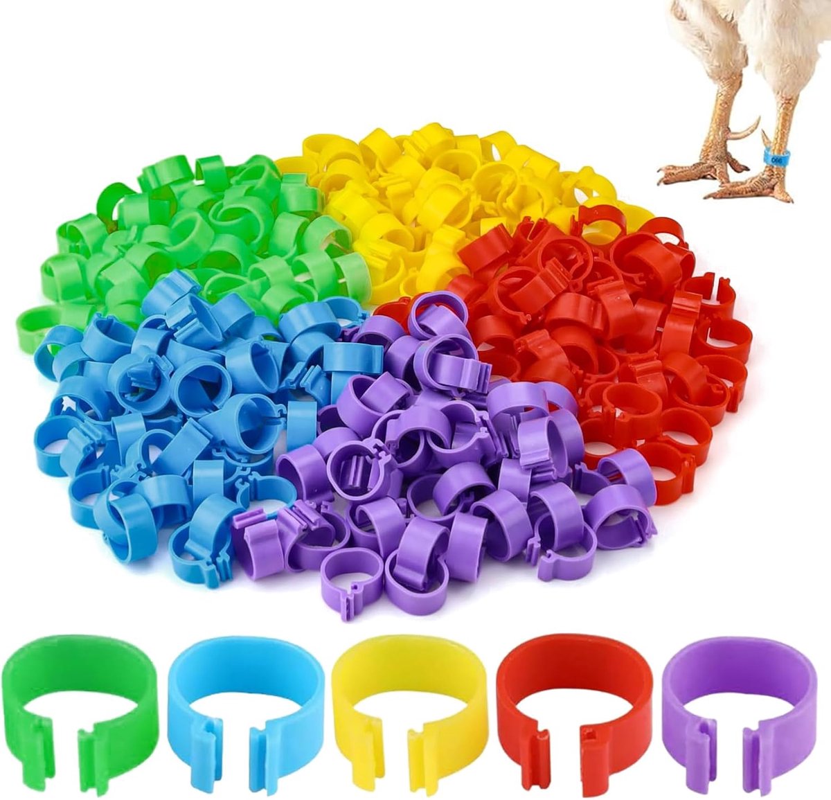 50pcs kippenringen spiralen – kippen pootringen identificatiebands – pluimveepootringen clips
