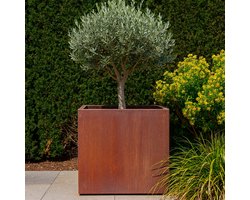STEAEL CORTEA – Cortenstaal Plantenbak – 80 x 80 x 80 cm