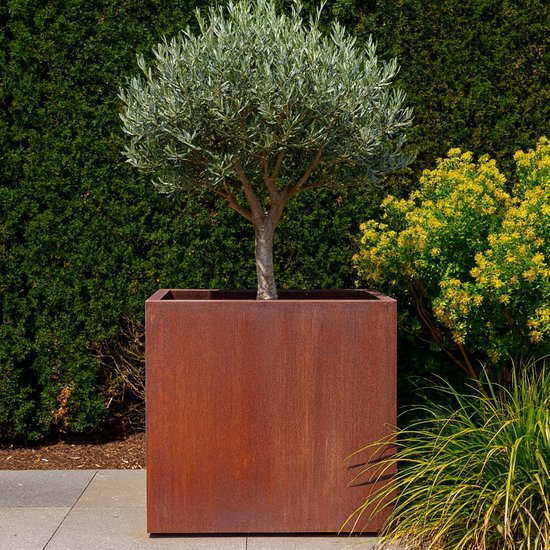 Verhoogd bloembed van cortenstaal, 100 x 100 x 45 cm