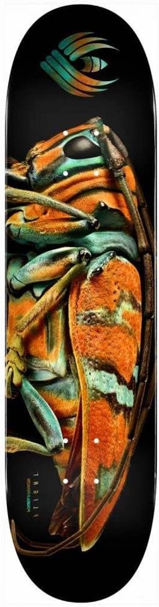 Skateboard Deck Longboard Deck Skateboarden Jewel Longhorn Kever 9.05 inch breed Meerkleurig