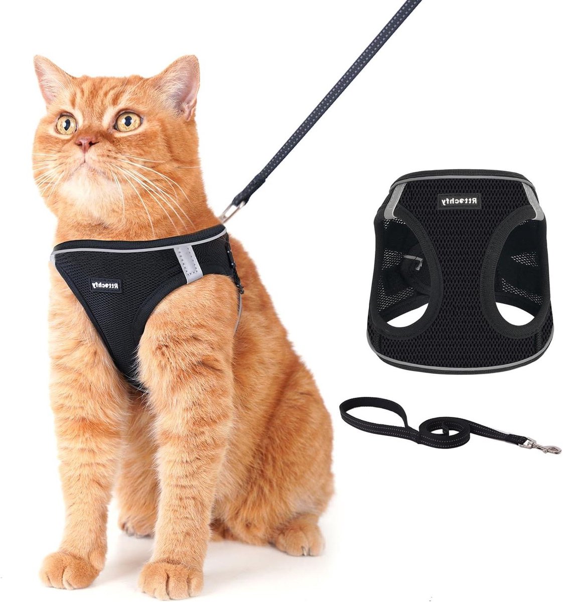 Kattenharnas en Riem - Katten tuigje Veiligheidsharnas - Veilig Wandelen - Ontsnappingsbestendig Ontwerp - XS (Borst 32-36 cm) - Zwart