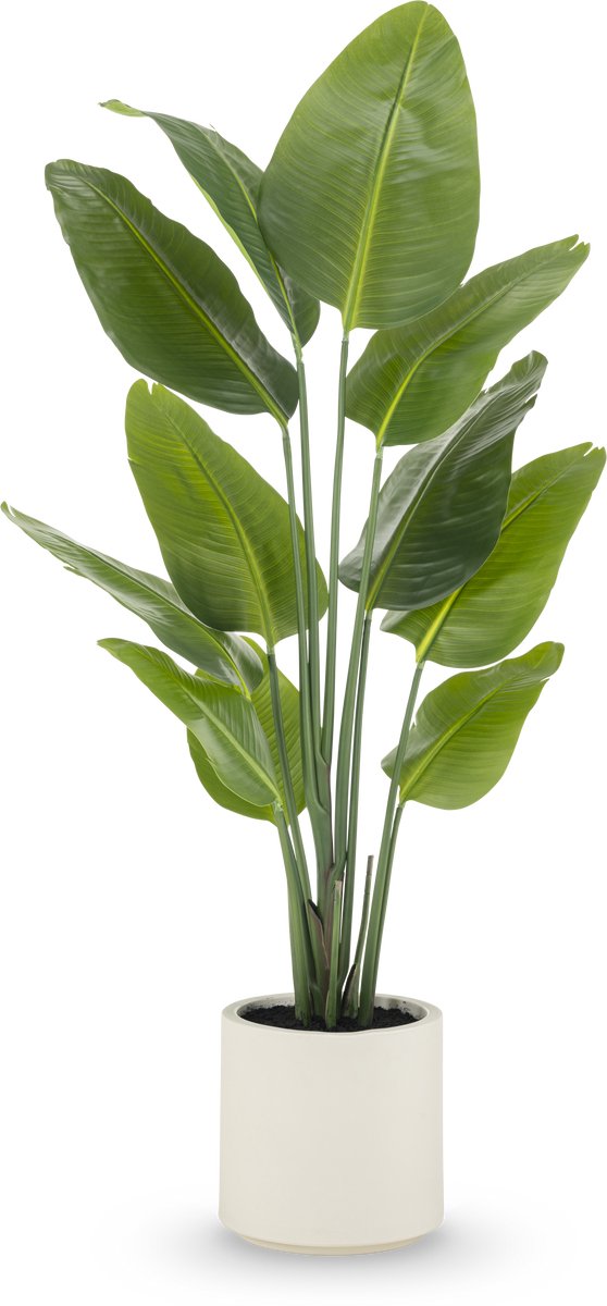 Easyplants | Kunstplant Strelitzia Real Touch kant en klaar in pot beige 150 cm | Zijde | Strelitzia | Groen