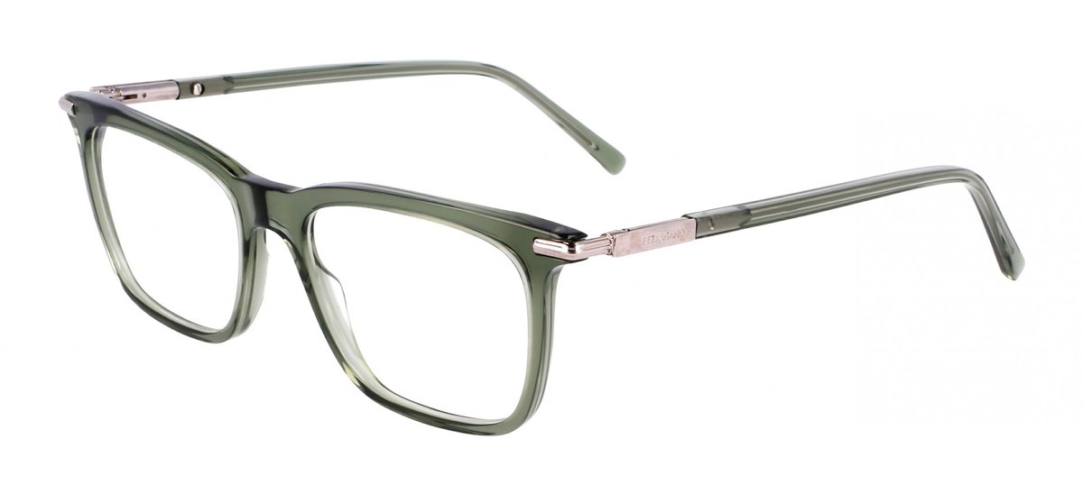 Ferragamo SF3007 Transparent green 53/17/145 MAN Brilmonturen