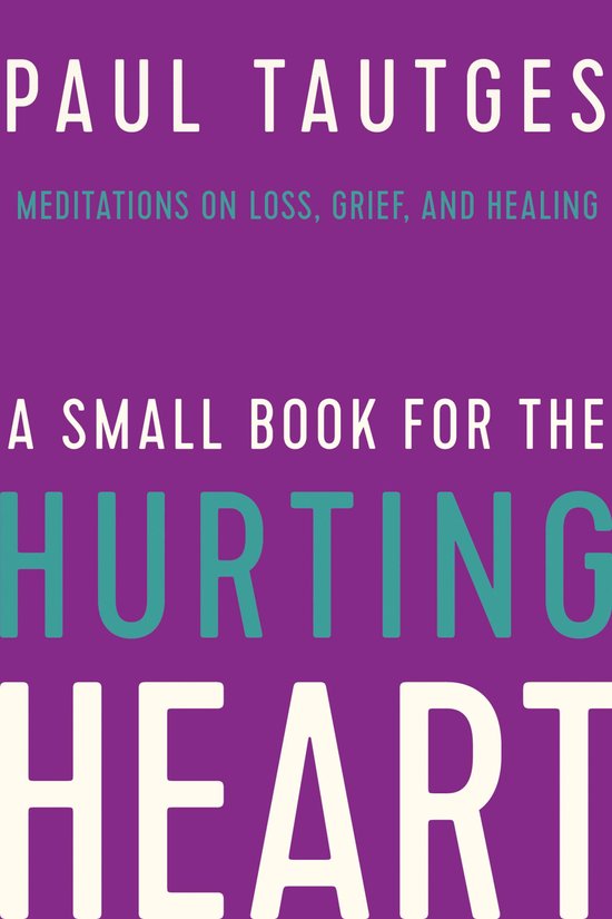 A Small Book for the Hurting Heart - cover
