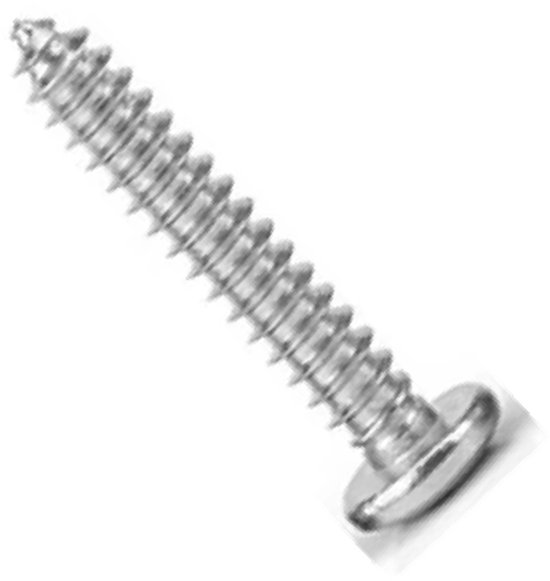 Een enkele metalen schroef met kruiskop