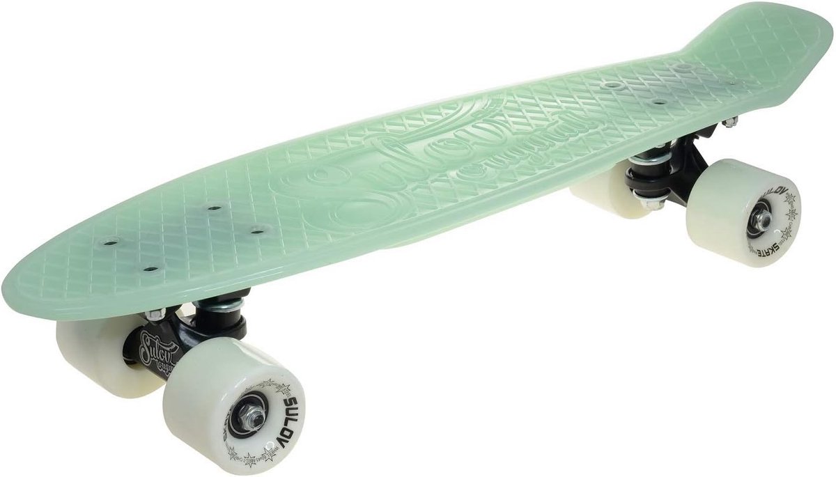 Penny Board Skateboard Cruiser Stad Verkennen Lichtgewicht PP Materiaal 22 inch Lengte Florescente