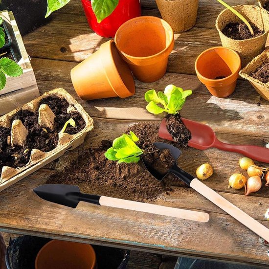 Mini Tuinset - Succulent Gereedschap - Kleine Planten Verzorgen - Ergonomische Houten Handgreep - 21.4 cm - Uniek — afbeelding 2
