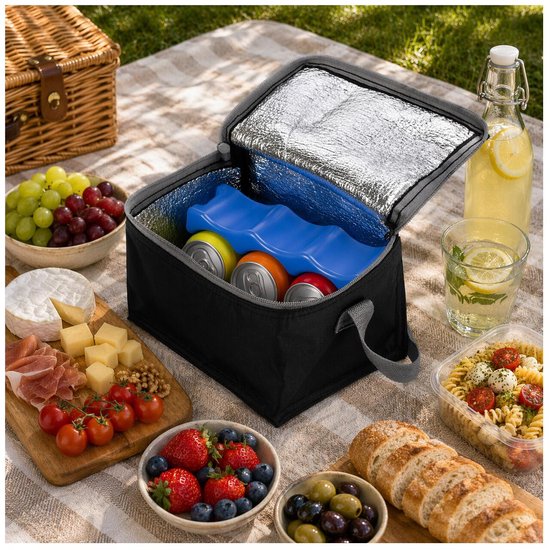 Kleine mini koeltass voor lunch of sixpack blikjes - zwart - 21 x 15 x 13 cm - draagriem - 3.7 liter inhoud van Klein — afbeelding 5