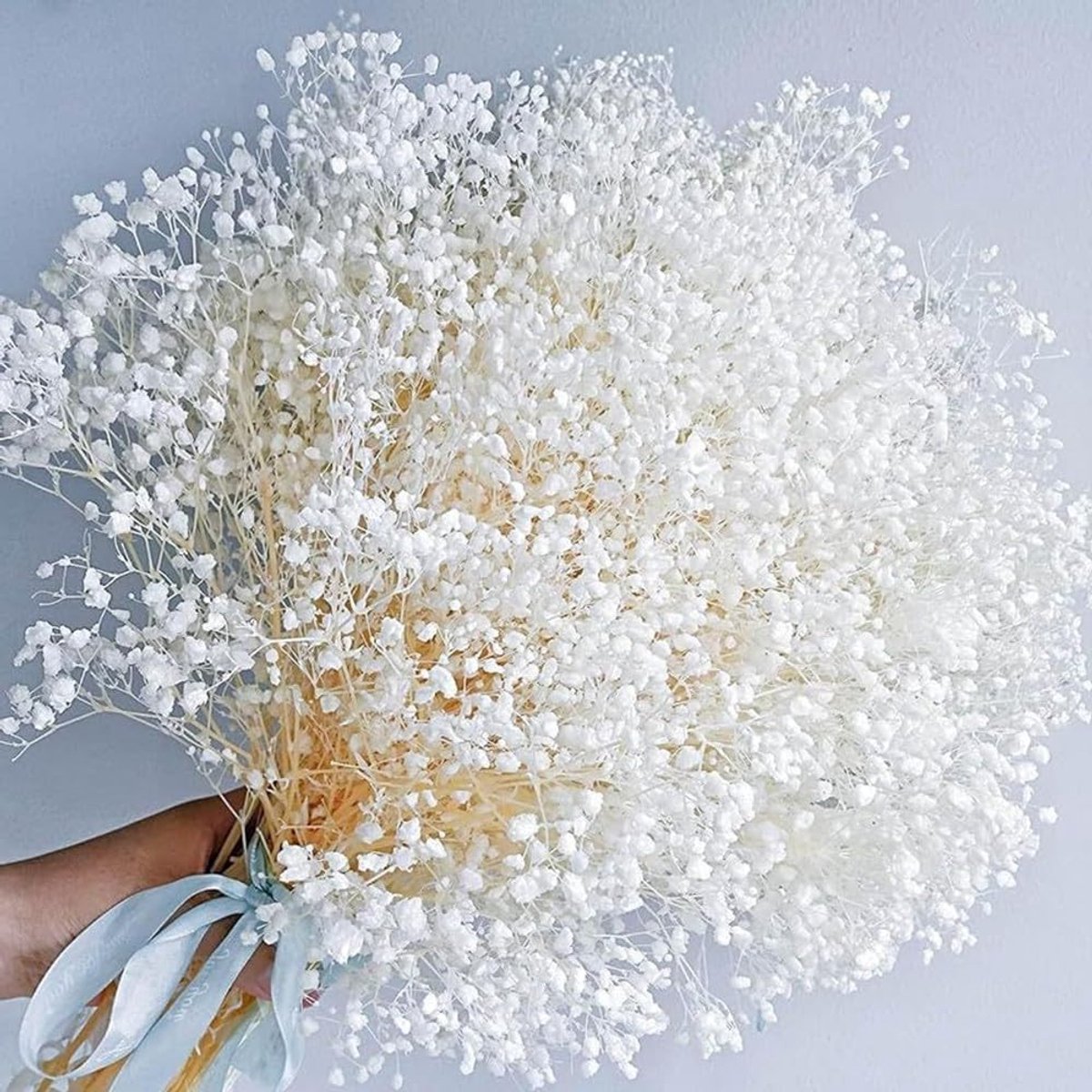Dried Flowers Baby Breath Boeket van 43 cm, 100% Natuurlijke Gypsophila Takken voor Thuisdecoratie, Bruiloften en Feestjes, DIY Versiering en Fotoprops
