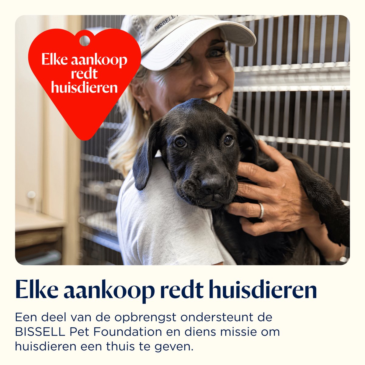 BISSELL SpotClean Auto Pro Select Draagbare Vlekkenreiniger - 3730N thumbnail 6