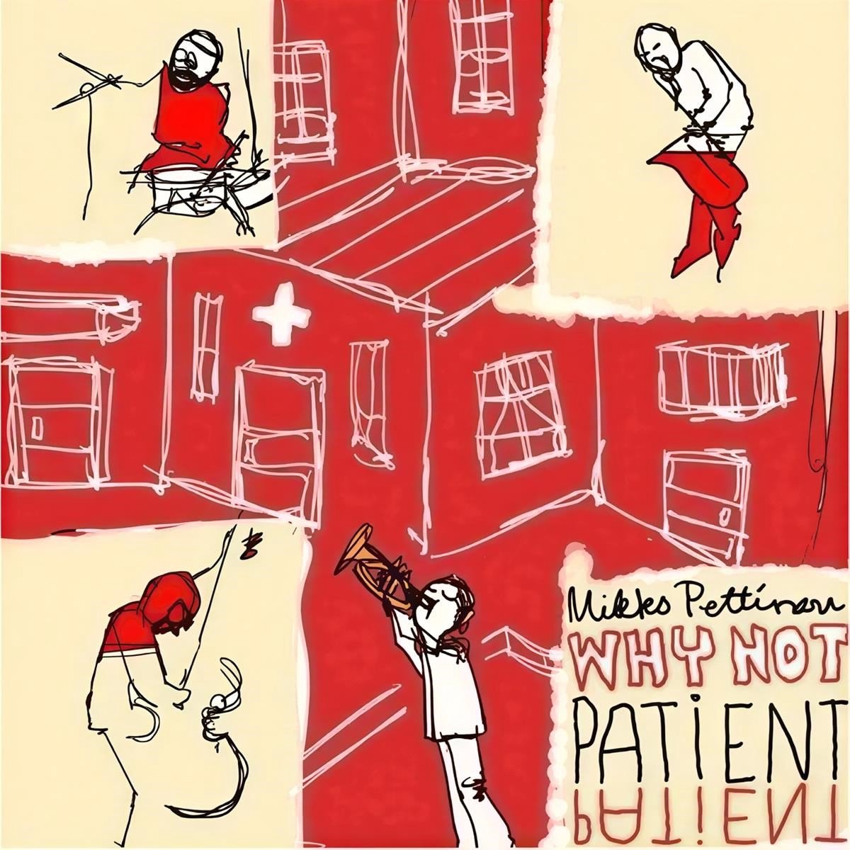 Mikko Pettinen Why Not - Patient Patient (LP)