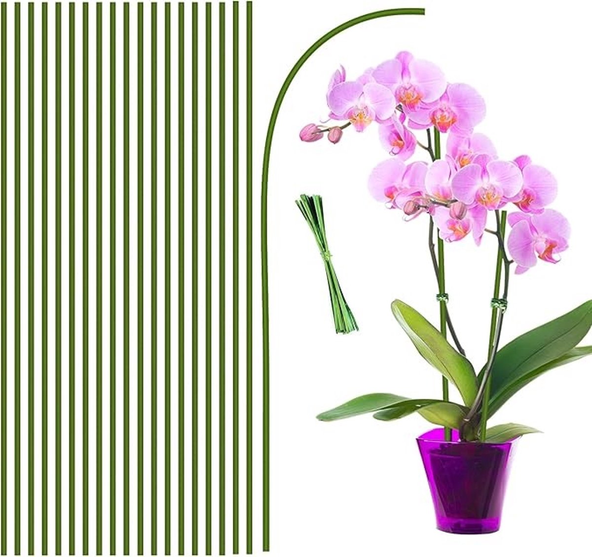Flexibele plantenstokken 40 cm - 20 stuks voor binnen en buiten
