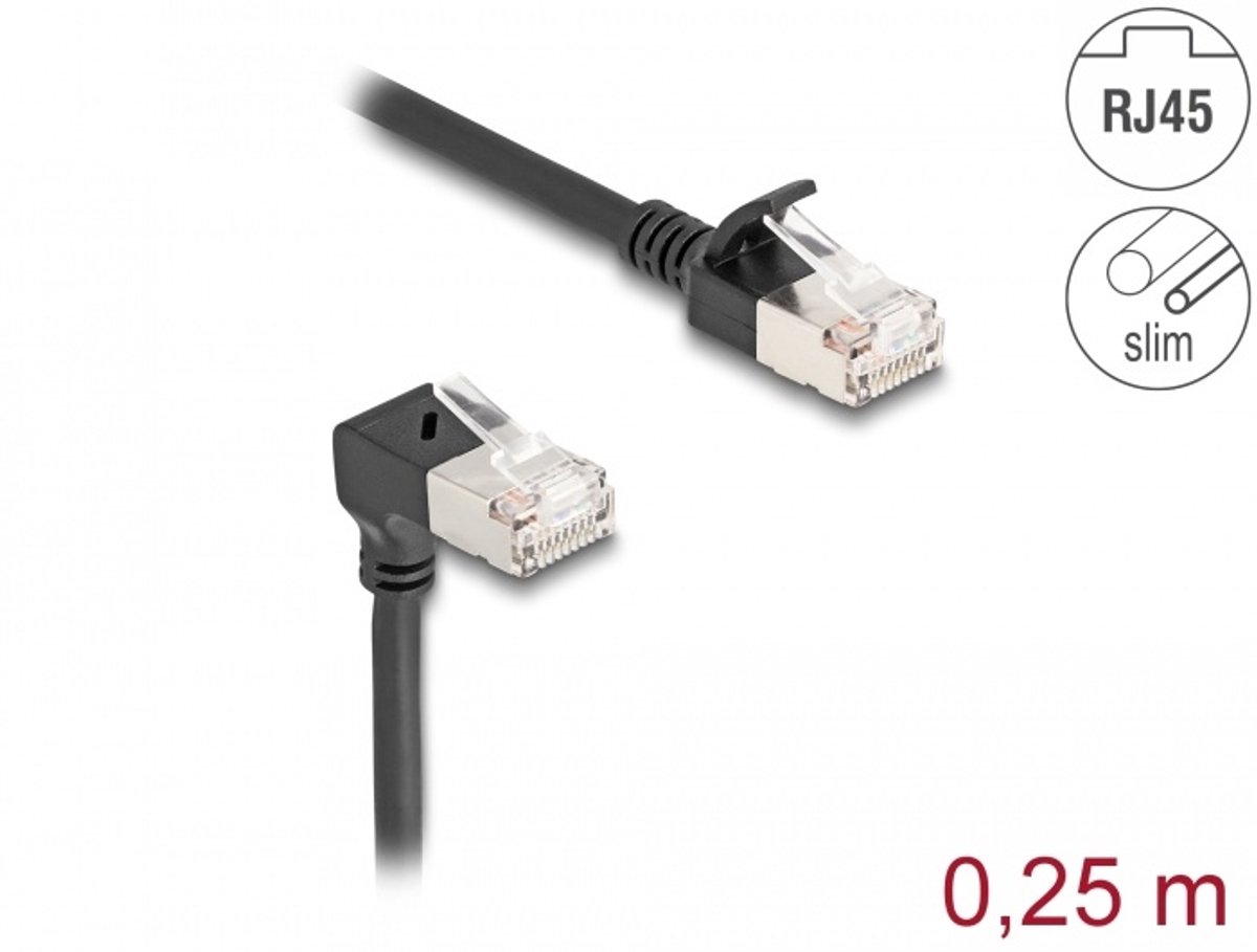 DeLOCK 80303 netwerkkabel Zwart 0,25 m Cat6a S/FTP (S-STP)