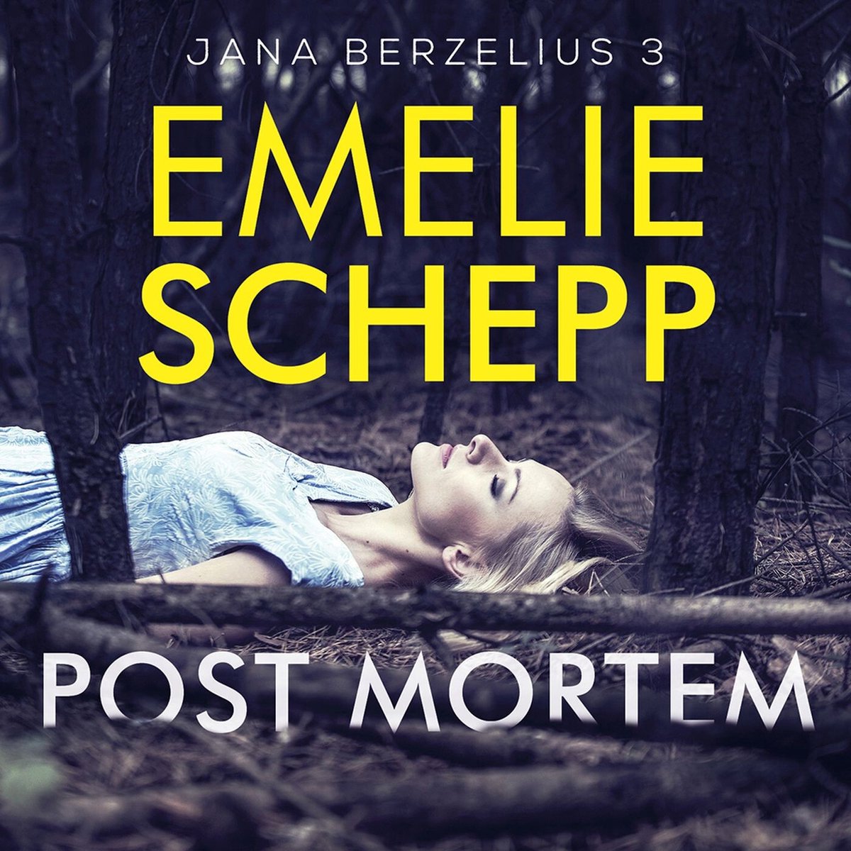 Omslag van Post mortem
