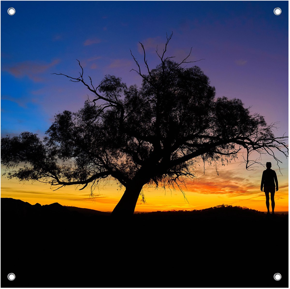 Zonsondergang Silhouet Boom - Tuinposter - Tuindoek - 40x40 cm - Buitenposter - Schuttingdoek - Tuinschilderij voor Buiten