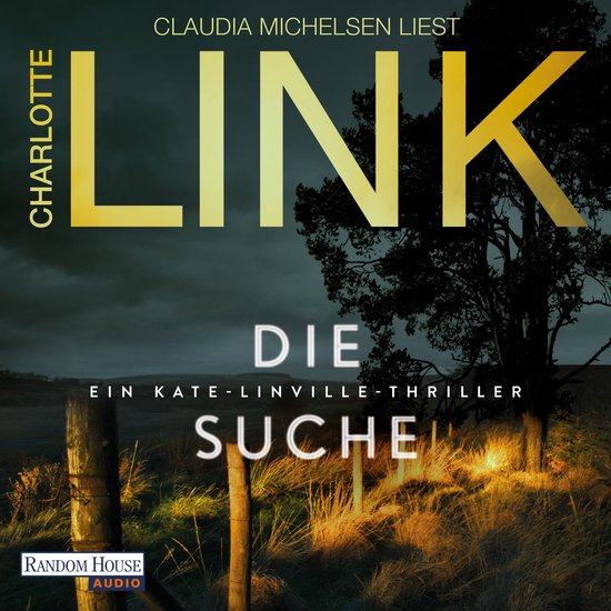 Die Suche - cover