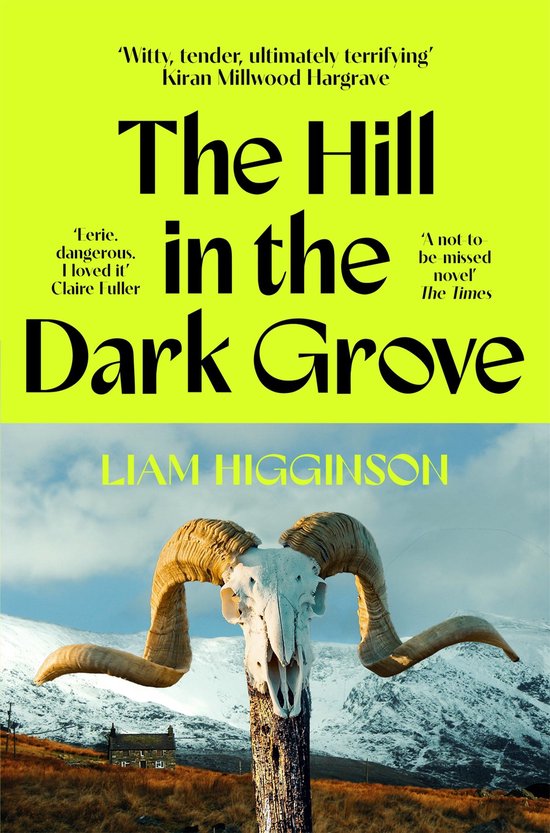 The Hill in the Dark Grove - cover