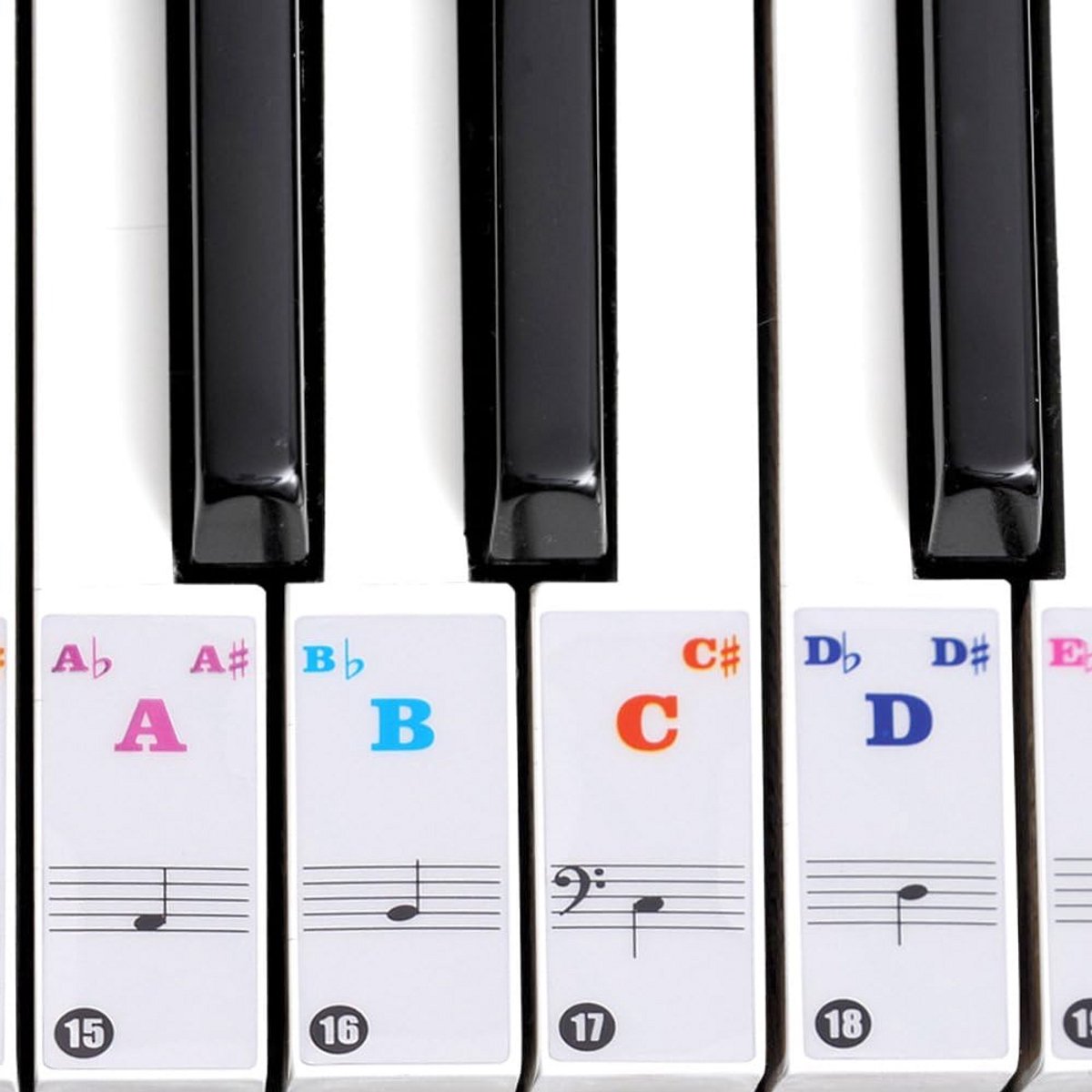Piano Stickers - Toetsenbord Noten - Piano Leren - Transparant PVC - 61/88 Toetsen - Gekleurd