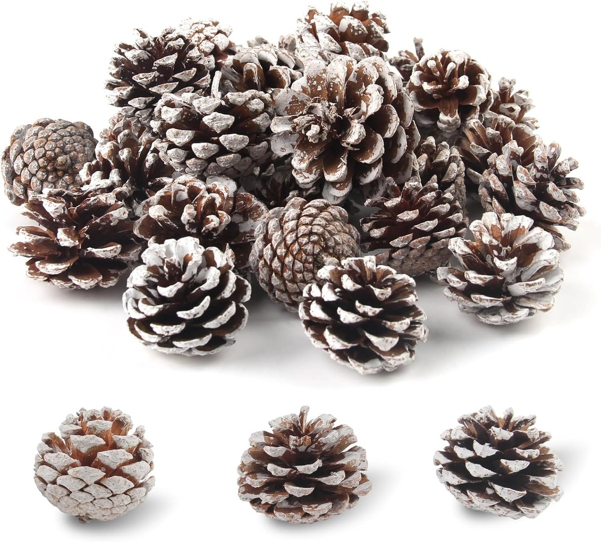 Natuurlijke Dennenappels - Decoratie Kegels - Ambachtelijke Projecten - Sneeuw Effect - 32 Stuks - Wit