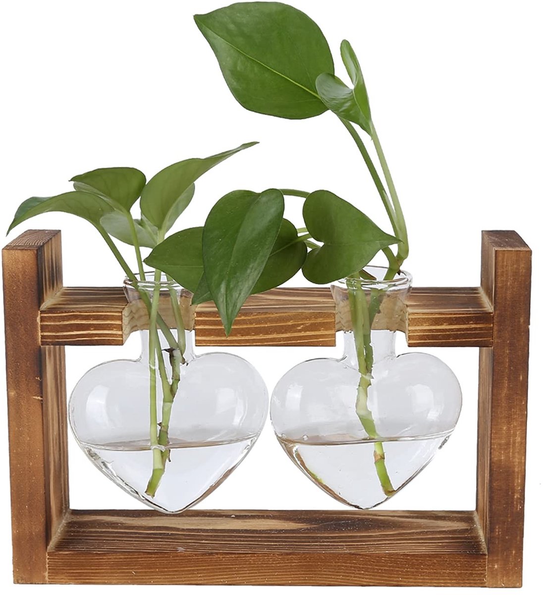 Dailygoods- Plantenterrarium Hartvormig - Bloemenvaas Borosilicaatglas - Houten Standaard - Hydrocultuurplanten - Bureaudecoratie - 1/2/3 Flessen