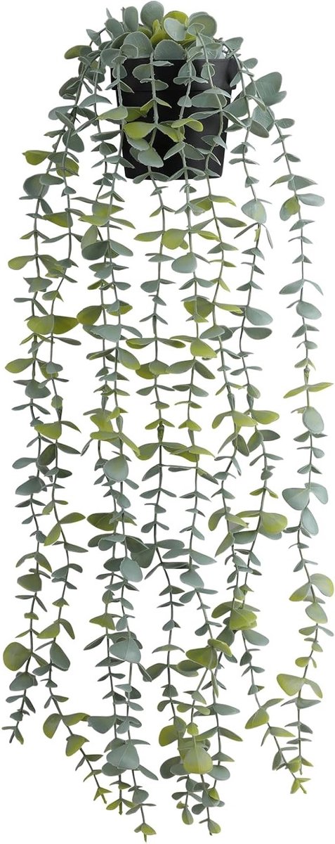 Eucalyptus Hangplant van 55 cm, Kunstplant voor Wanddecoratie, Ideaal voor Badkamer, Raamdecoratie en Binnen- en Buitenshuis Gebruik