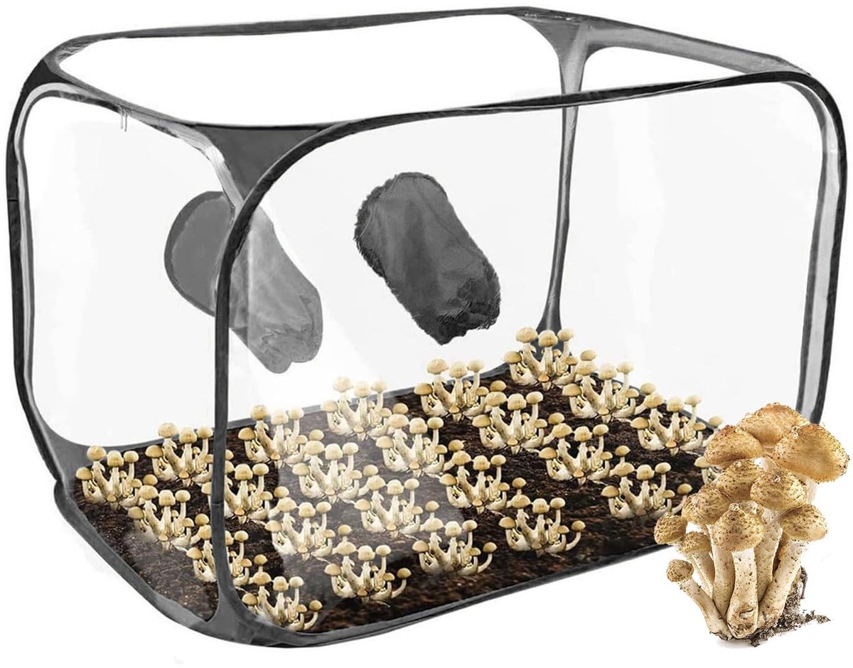 carmdering - Kweektent voor paddenstoelen - 90x60x60 cm kweekbox - draagbare glovebox - opvouwbare stille luchtbox voor teelt en experimenten - blauw