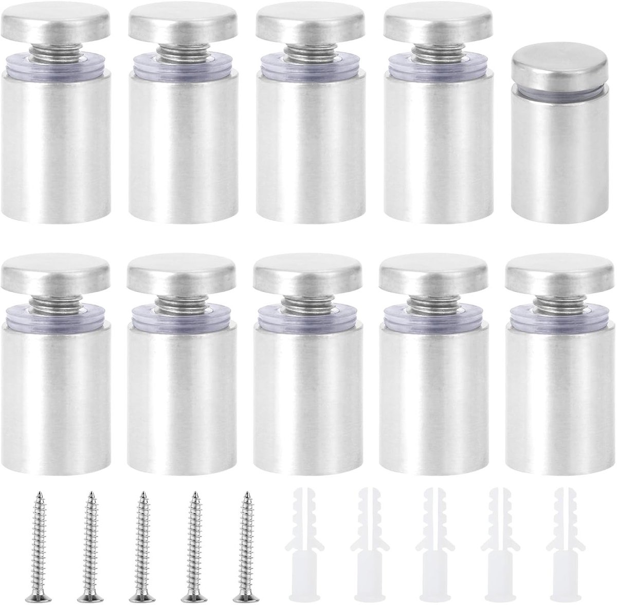 Set van 20 RVS Reclame Spijkers 19 x 30 mm - Wandmontage Spacers voor Glas en Kentekenplaten