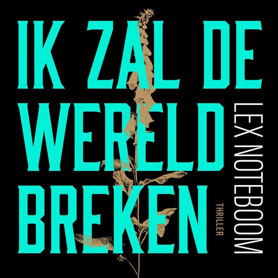 Ik zal de wereld breken - cover