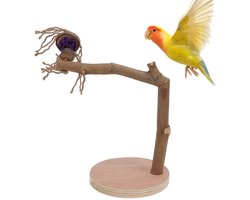 Golden crown - Vogelbaars Stand Tafelblad - Afneembare Houten Zitstok - Veilig voor Papegaaien - Natuurlijk Appelhout - Geschikt voor Valkparkieten -