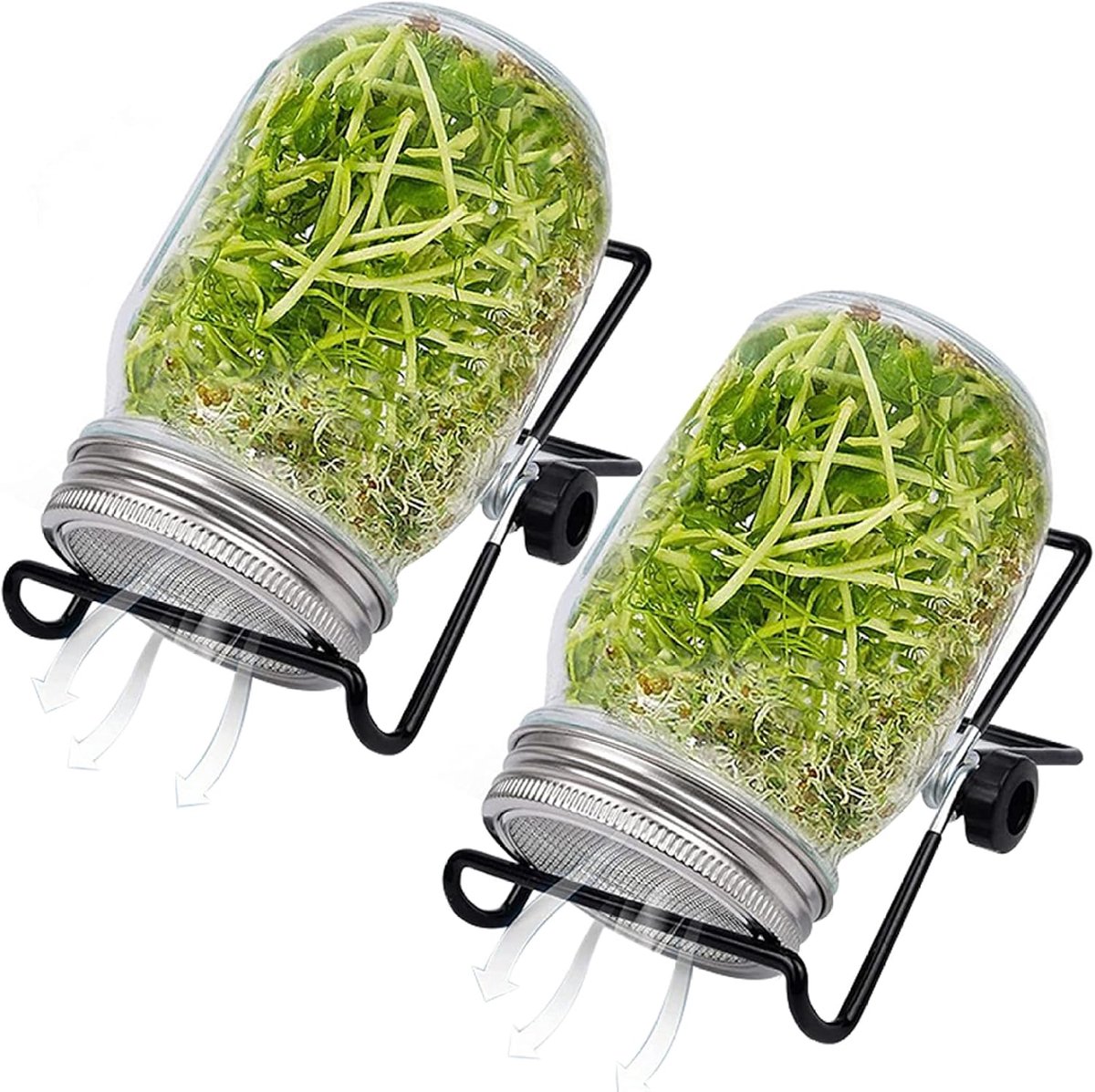 Sprouting Pot, 2 Sets Wide Mouth Seed Sprouts with Mesh Lid, 16oz Germination Kit with Adjustable Stand, 12.5cm, Transparent Sprouts Grow Kit for Beans