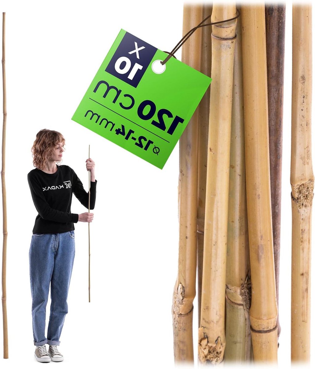 Bamboestokken Planten - Klimhulp Steunen - Planten Ondersteunen - Duurzaam Natuurlijk Materiaal - 10 stuks 120 cm - Natuurlijk