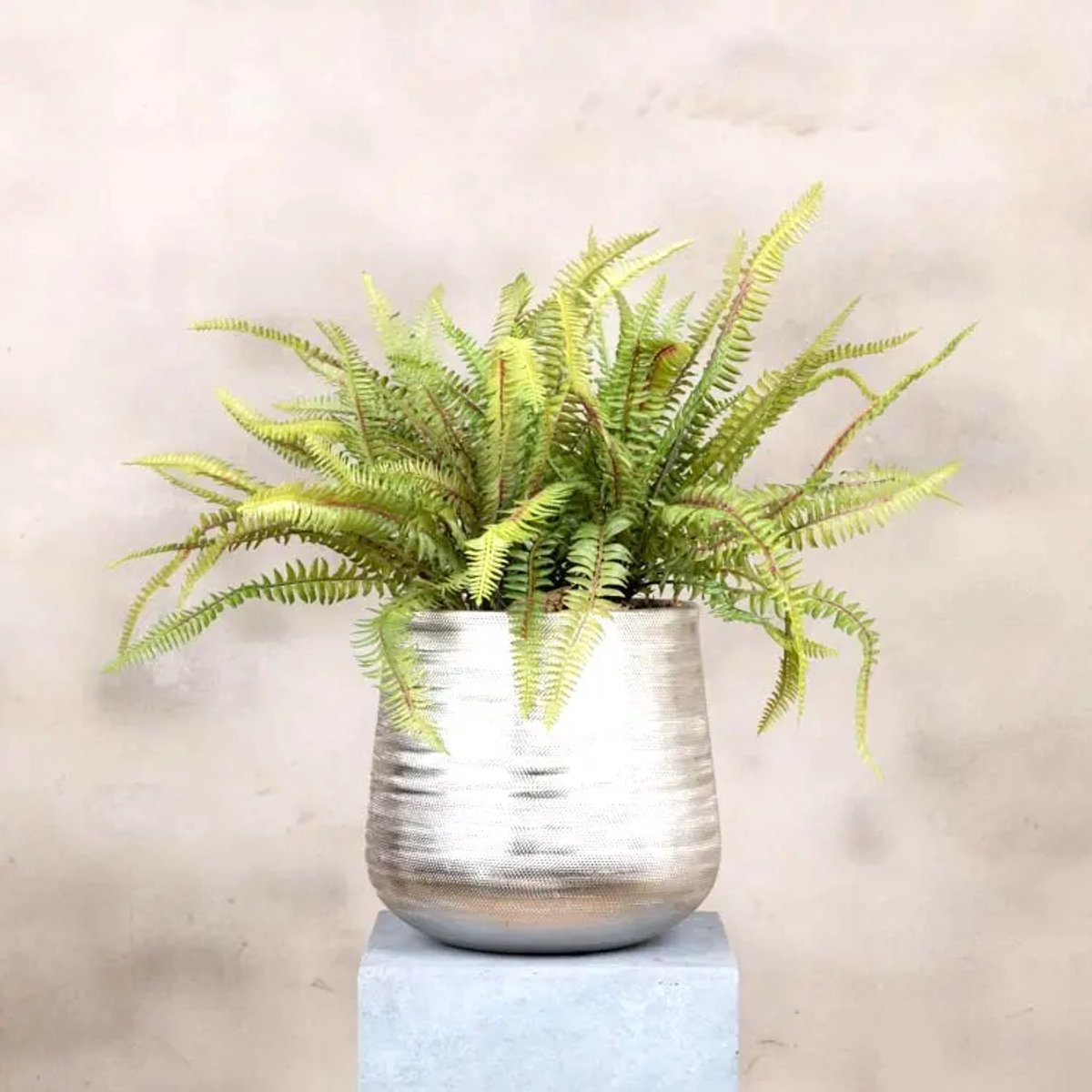 Kunstplant | Varen | 45 cm