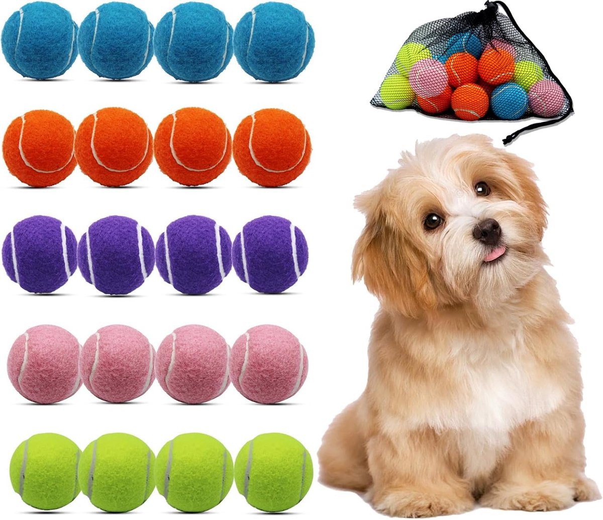 Kleine Kleurrijke Honden Tennisballen (20 stuks) - 5 cm Speelballen voor Training en Spel
