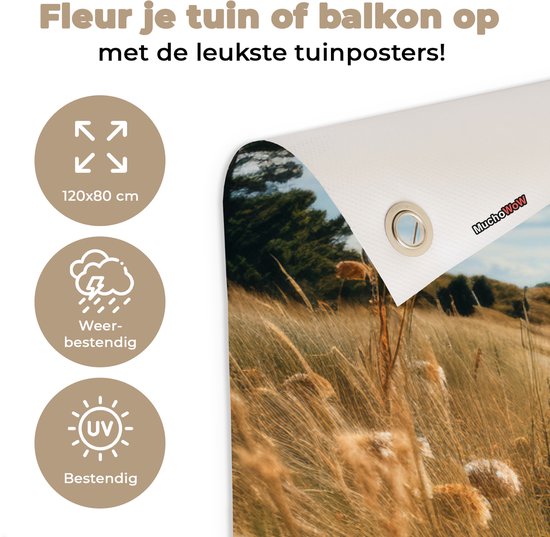 Affiche de jardin - Toile de jardin - Posters de jardin extérieur - Plage - Dunes - Ammophile - Mer - Sable - 120x80 cm - Jardin